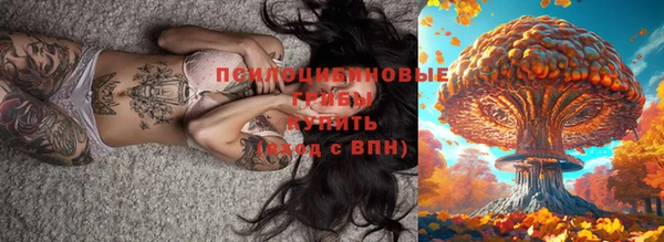 дурь Балахна